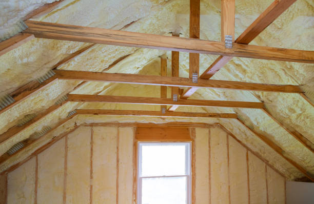 Best Insulation Installation Services in Ravenna, MI
