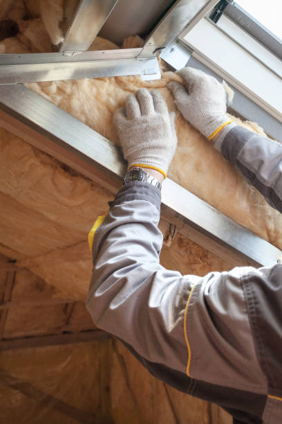 Best Types of Insulation in Ravenna, MI