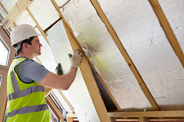 Best Insulation Installation Services in Ravenna, MI