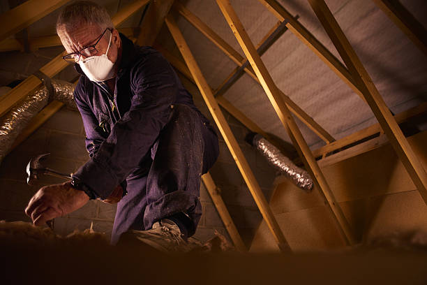 Best Insulation for Specific Applications in Ravenna, MI