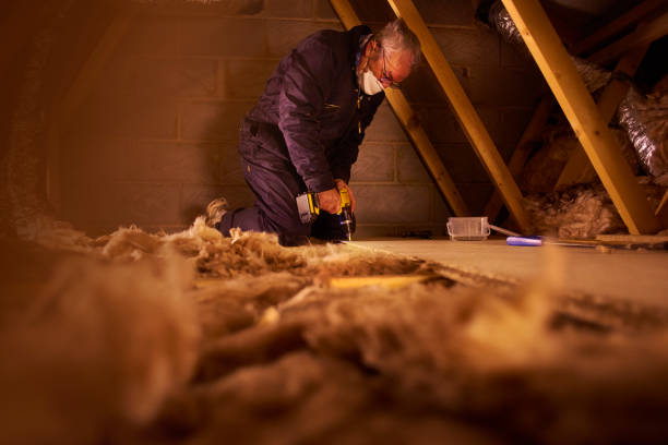 Best Commercial Insulation in Ravenna, MI