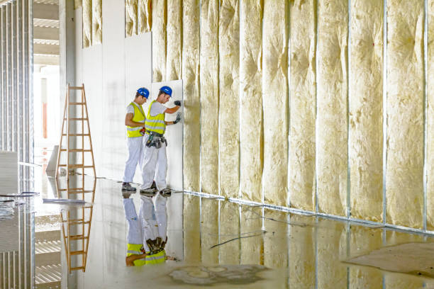 Best Residential Insulation in Ravenna, MI